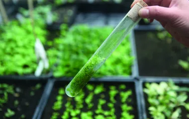 Nouvelles pratiques agricoles