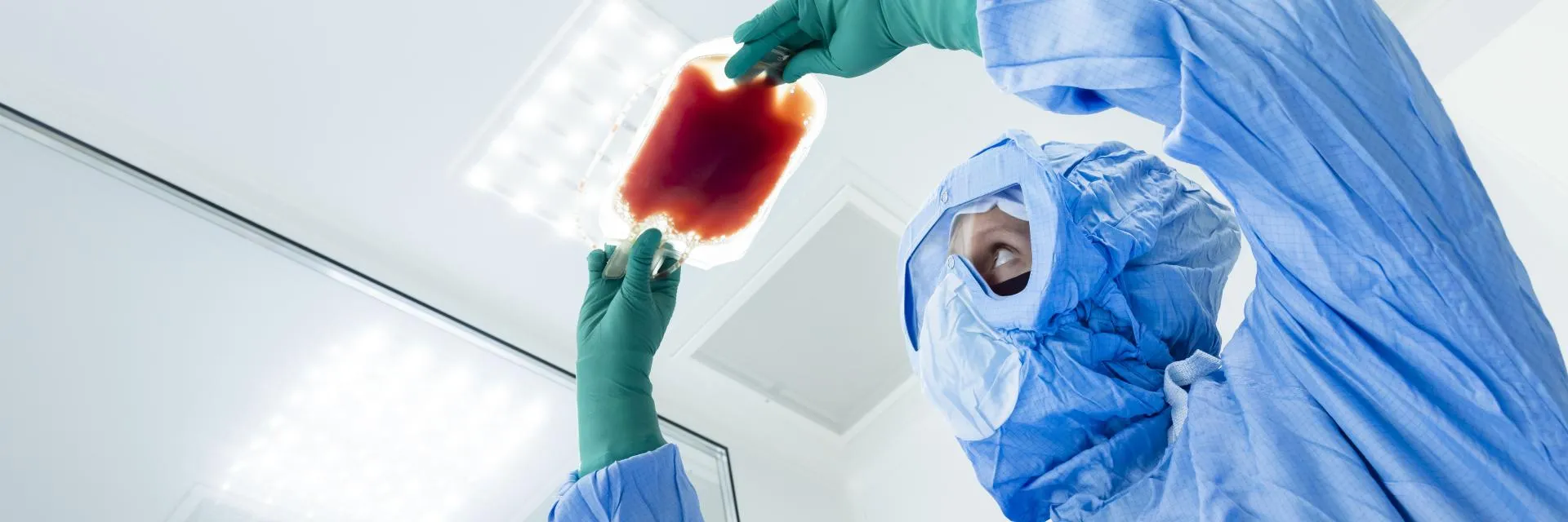 Médecin avec poche de sang