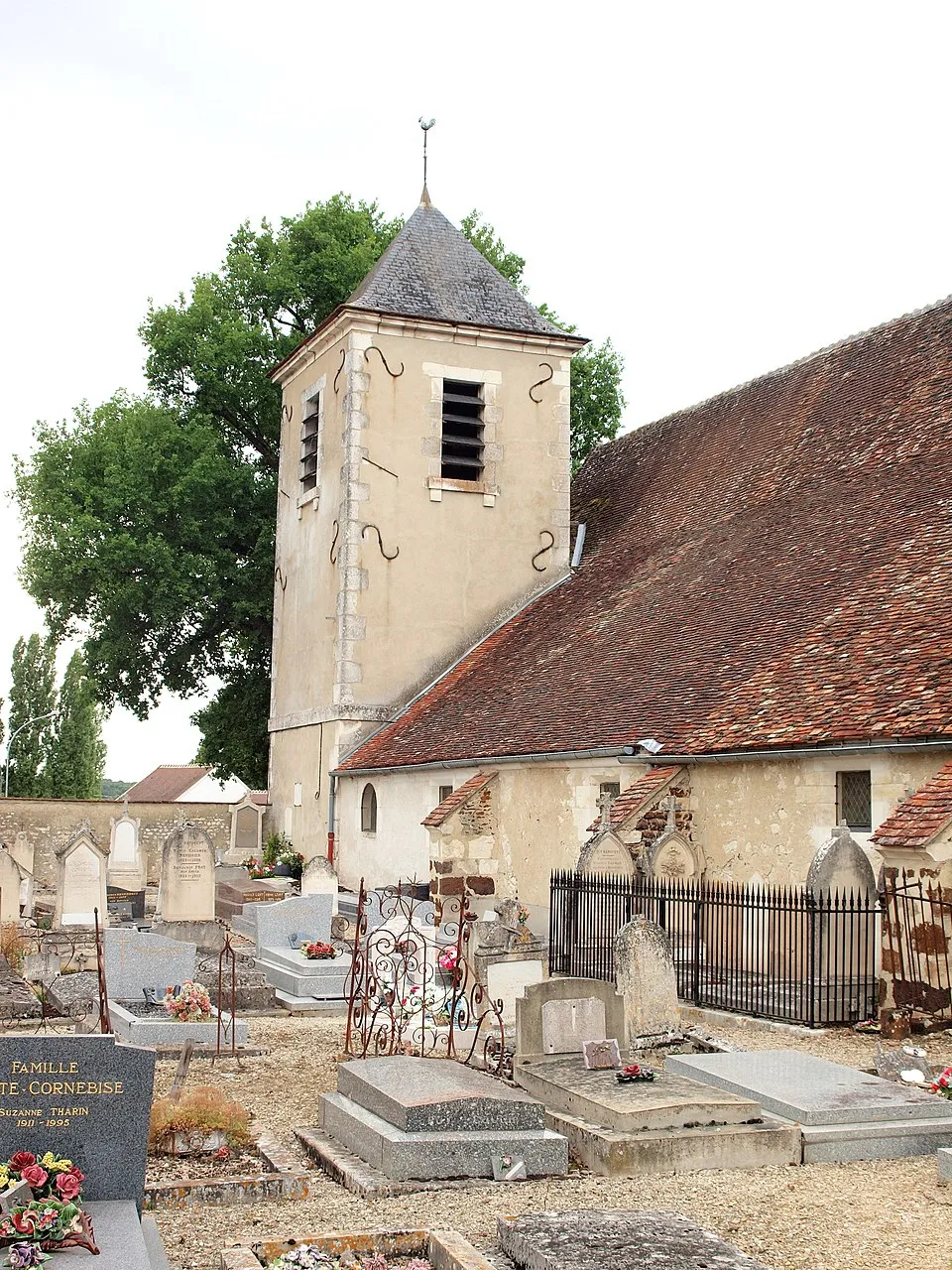 Eglise Saint Martin à Branches