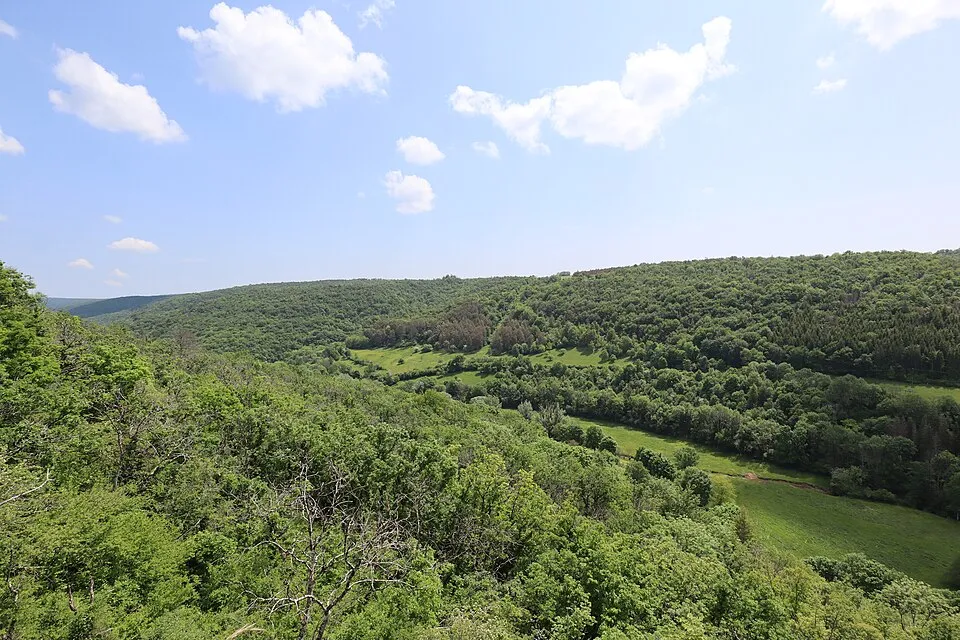 Panorama sur la forêt de Val Suzon 