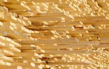 Société Jurassienne des Bois Secs