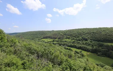 Panorama sur la forêt de Val Suzon 